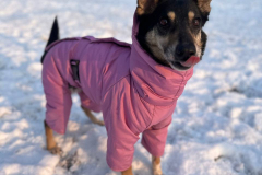 PHOTO-2026-03-24-21-46-14