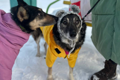 PHOTO-2026-03-24-21-46-26-1