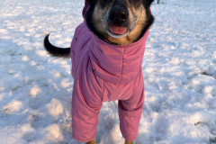 PHOTO-2026-03-24-21-46-26