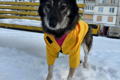 PHOTO-2026-03-24-21-46-27-1