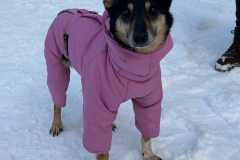 PHOTO-2026-03-24-21-46-27-2