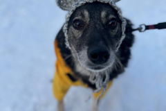 PHOTO-2026-03-24-21-46-27