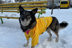 PHOTO-2026-03-24-21-46-28