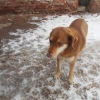 534_Gracy_0318