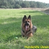 edith_nov2013-11