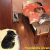 edith_nov2013-7