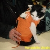 edith_nov2013-8