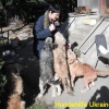 edith_nov2013-9