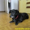 edith_maerz2014-10