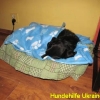 edith_maerz2014-2
