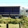 Futtertransport2_September_2016
