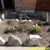 fruehling-4