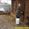 tierheim1_dez2014