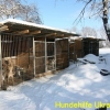 tierheimrdl_jan2013-6