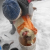 Winter-Trockenfutter13