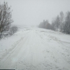 Winterbilder