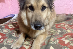 PHOTO-2026-03-13-10-21-32-2