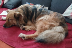 PHOTO-2026-06-11-20-13-39