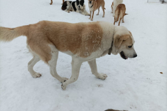 PHOTO-2026-02-27-11-59-45