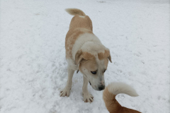 PHOTO-2026-02-27-12-00-15