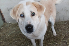 PHOTO-2026-02-27-12-00-29