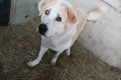 PHOTO-2026-02-27-12-00-38