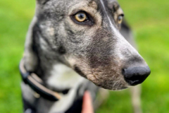 PHOTO-2025-11-04-17-44-02