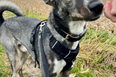 PHOTO-2025-11-04-17-44-03-1