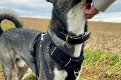 PHOTO-2025-11-04-17-44-03-2