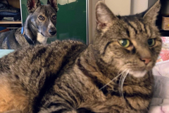 PHOTO-2025-11-04-17-44-03-3