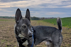 PHOTO-2025-11-04-17-44-03-4