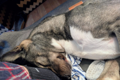 PHOTO-2025-11-04-17-44-03-5