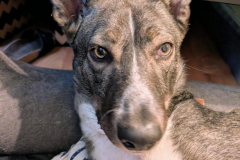 PHOTO-2025-11-04-17-44-03