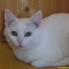 snowi_sunny1_sept2013
