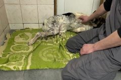 Bild_13