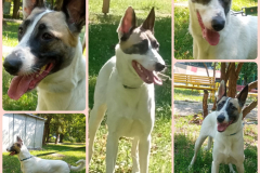 PHOTO-2025-08-28-13-24-23