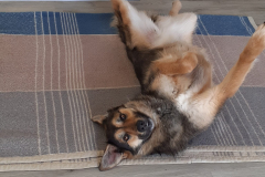 PHOTO-2026-03-30-14-54-49