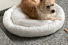 PHOTO-2025-08-24-09-03-22