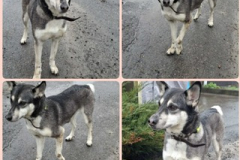 PHOTO-2026-04-10-18-15-02