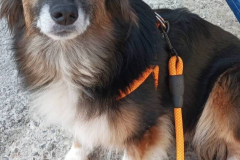 PHOTO-2026-03-24-18-05-59