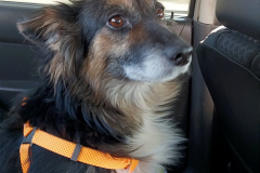 PHOTO-2026-03-24-18-06-00