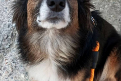 PHOTO-2026-03-24-18-06-01-1