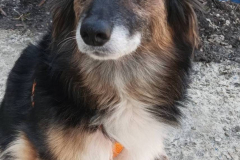 PHOTO-2026-03-24-18-06-01