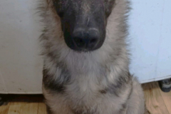 1bb945fe-c8d5-491e-b2ed-f19dc3c47242