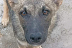 32976f40-5e59-4091-a9a1-544433503b91