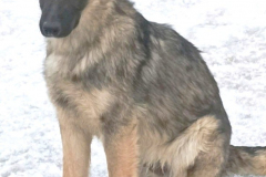 666c9663-4e30-48ad-afdc-c8c62b69f0c4