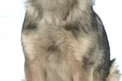 dc1cda77-56d6-4f9e-928c-17afdc04c0b5