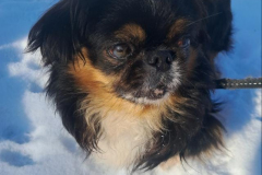 a7351ba1-3f7f-458e-bcca-31a0c59e5da8