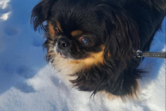 ed057fcb-458a-4a3d-b922-a53a32fb88b1