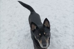 PHOTO-2026-02-27-11-58-13